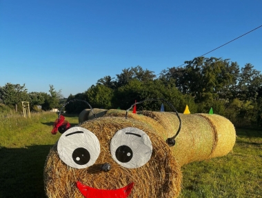Img